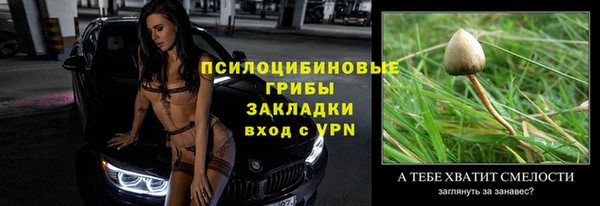 эйфоретик Козловка