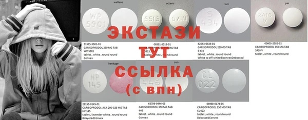 твердый Козельск