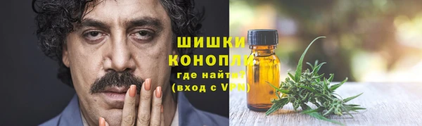 твердый Козельск