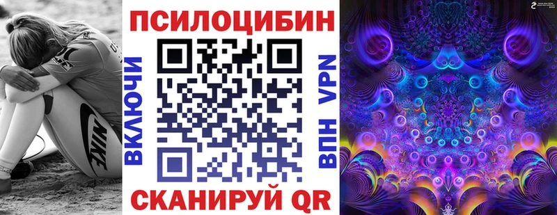 МЕГА ссылки  Катайск  Галлюциногенные грибы Psilocybe 